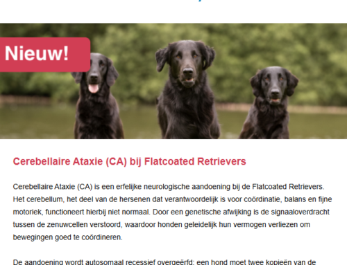 Nieuwe DNA-testen & updates 2 maart