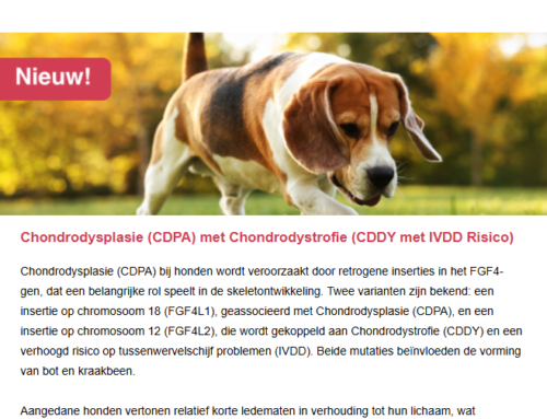 Nieuwe DNA-testen & updates mei