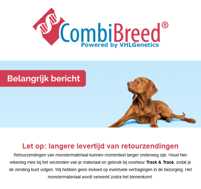 Nieuwsbrief augustus 2026